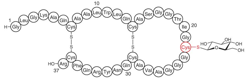 new sublancin structure